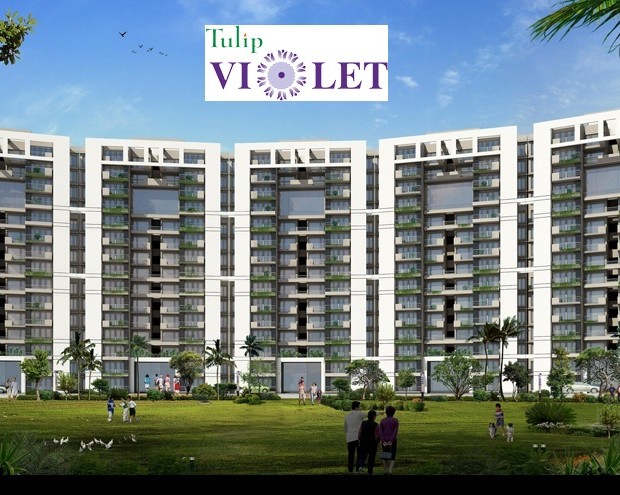 Lower Floor Tulip Violet Apartment Sale Sector 69 Gurgaon