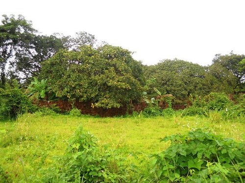 Land For Sale North Goa