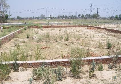 402 Sqyd Plot Sale DLF Phase 2 Gurgaon