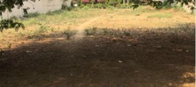 Large 800 Sqyd Plot Sale East of Kailash Delhi