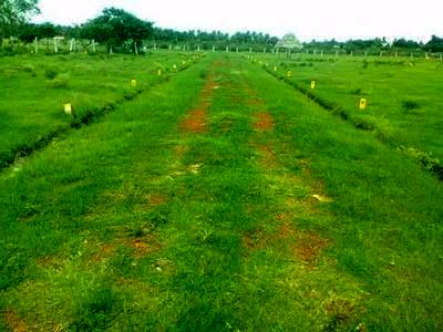 Residential Plot Parsvnath City Dharuhera