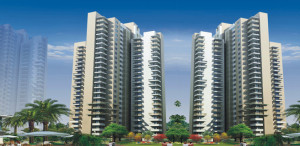 Alpha G Corp Gurgaon One Apartment Sale Sector 84 Gurgaon