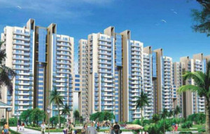 Higher Floor BPTP Spacio Apartment Sale Sector 37D Gurgaon