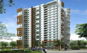 100 sq yd Builder Floor Rent Gurgaon