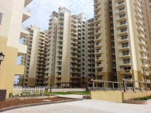 2193 sq ft Flat Rent CHD Avenue Gurgaon