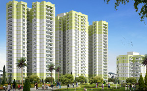 Mittal Cosmos Executive Apartment Rent  Palam Vihar Gurgaon