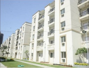 Crescent Parc Flat Rent Gurgaon