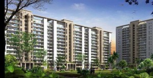 2688 sq ft DLF New Town Heights Apartment Rent Sector 91 Gurgaon