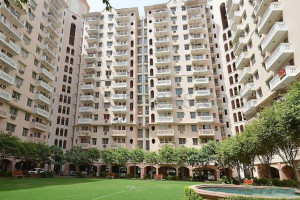 1150 sq ft DLF Princeton Estate Flat Rent Gurgaon