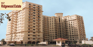 3 BHK DLF Ridgewood Estate Apartment Rent DLF Phase 4 Gurgaon