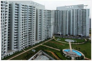 DLF The Icon Apartment Rent DLF City Phase 5 Gurgaon