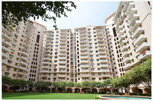 DLF Wellington Estate Apartment Rent DLF Phase 5 Gurgaon