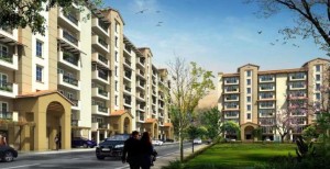 1450 sq ft Emaar Palm Hills Apartment Sale Sector 77 Gurgaon