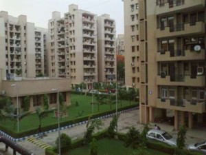 Lower Floor Hewo Apartment Rent Sector 56 Gurgaon