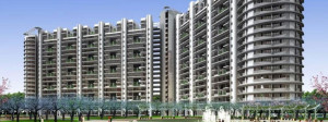 ILD Spire Greens Apartment Sale Sector 37 C Gurgaon