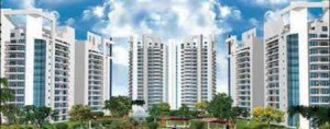 JNU Aravali Apartment Rent Sector 56 Gurgaon