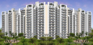 Maple Crescent  Apartment Rent Shushant Lok 1 Gurgaon