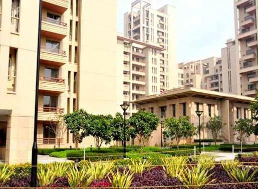 Maple Heights Apartment For Rent Sushant Lok 2 Gurgaon