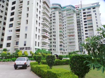 3 BHK Flat Rent Cosmos Executive Gurgaon