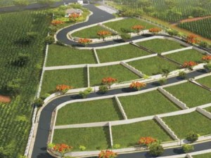 Residential Plot Sale Coonoor Ooty