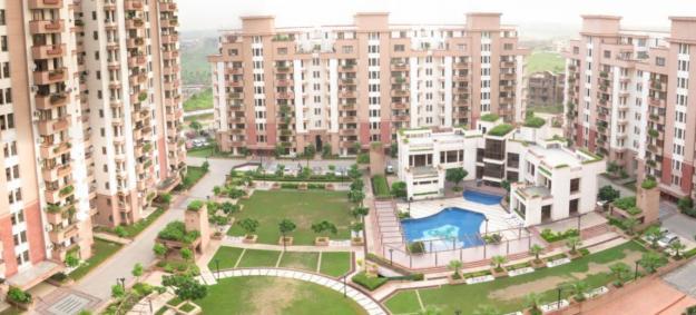 Orchid Gardens Apartment For Rent Sector 54 Gurgaon