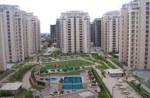 Orchid Petal Apartment Rent Sector 49 Gurgaon