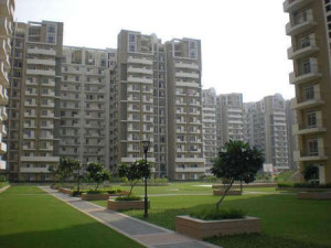 Orchid Petals Apartment Sale Sector 49 Gurgaon