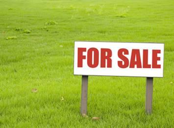 Plot For Sale Sector 49 Faridabad 