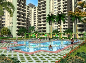 Green Ville Apartment Rent Sector 48 Gurgaon