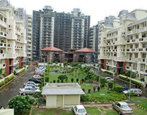 180 sq yd Flat Rent Parsvnath Green Ville Gurgaon