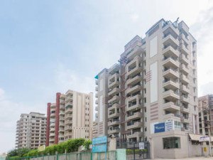 2 BHK Flat Rent Prithvi Apartment Gurgaon