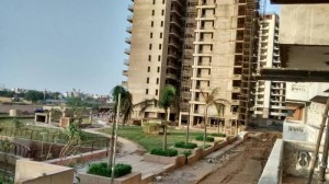 1894 sq ft Taksila Heights Apartment Sale Sector 37 C Gurgaon