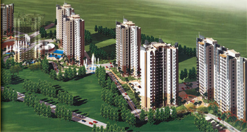 3 BHK Coralwood Apartment Sale Sector 84 Gurgaon