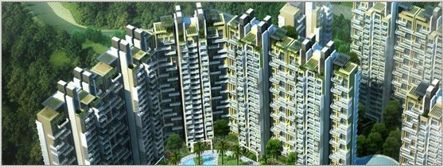 1750 sq ft Coralwood Apartment Sale Sector 84 Gurgaon