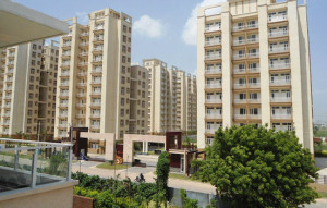 Tulip Orange Apartment Rent Sector 70 Gurgaon