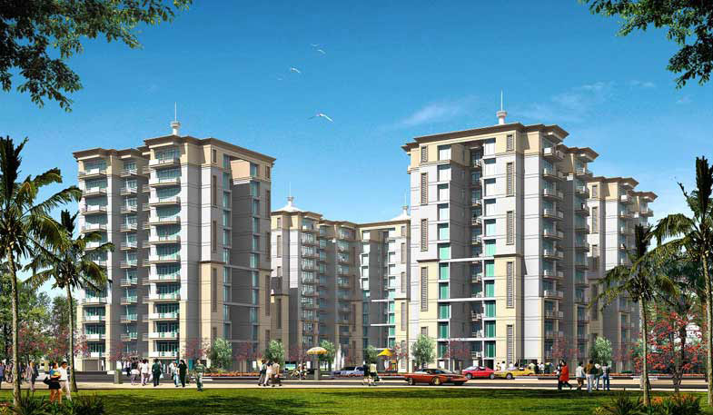 3 BHK Flat Rent Tulip Petals Gurgaon