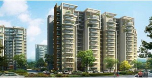 Unitech Exquisite Apartment Sale Sector 71 Gurgaon