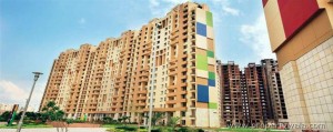 Unitech Fresco Apartment Rent Nirvana Country Sector 50  Gurgaon