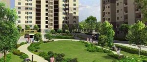 1980 sq ft Vatika Gurgaon 21 Apartment Sale Sector 83 Gurgaon