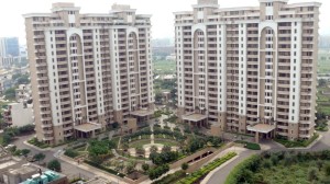 2500 sq ft Flat Rent Vipul Belmonte Gurgaon