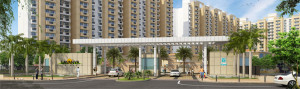 1560 sq ft Flat Rent Vipul Lavanya Gurgaon