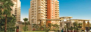 4250 sq ft 4 BHK Rent World Spa Gurgaon