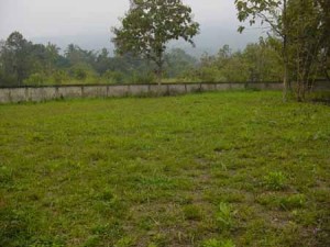 Plot For Sale South City 1 Gurgaon