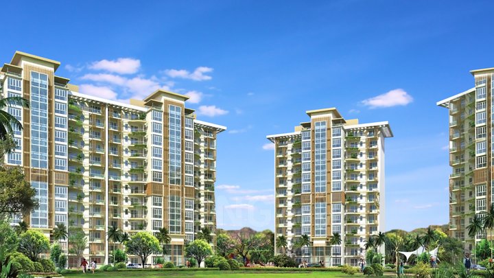 Apartment Sale Emaar MGF Palm Terraces Sector 66 Gurgaon