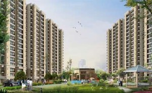 Shree Vardhman Flora Apartment For Sale Sector 91 Gurgaon