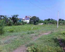 Commercial Land Sale Chitwan Nepal