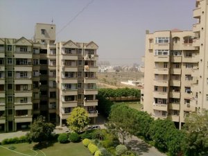 Kendriya Vihar Apartment For Rent In Sector 65 Gurgaon