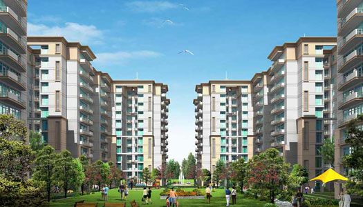 Lower Floor Tulip Petals Apartment Rent Sector 89 Gurgaon