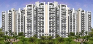 Tulip White Apartment For Rent In Sector 69 Gurgaon 