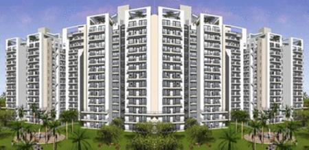 Tulip White Apartment For Rent Sector 69 Gurgaon